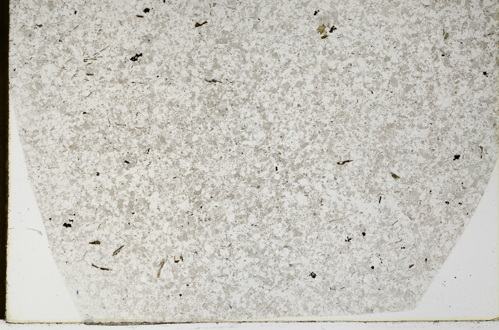 Plane Polarized, S66022