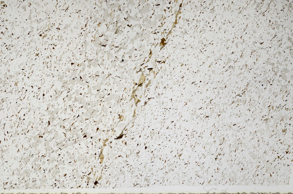 Plane Polarized, S66073