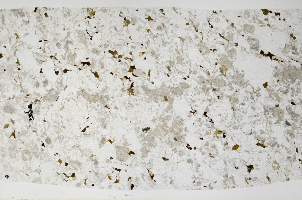 Plane Polarized, S66094