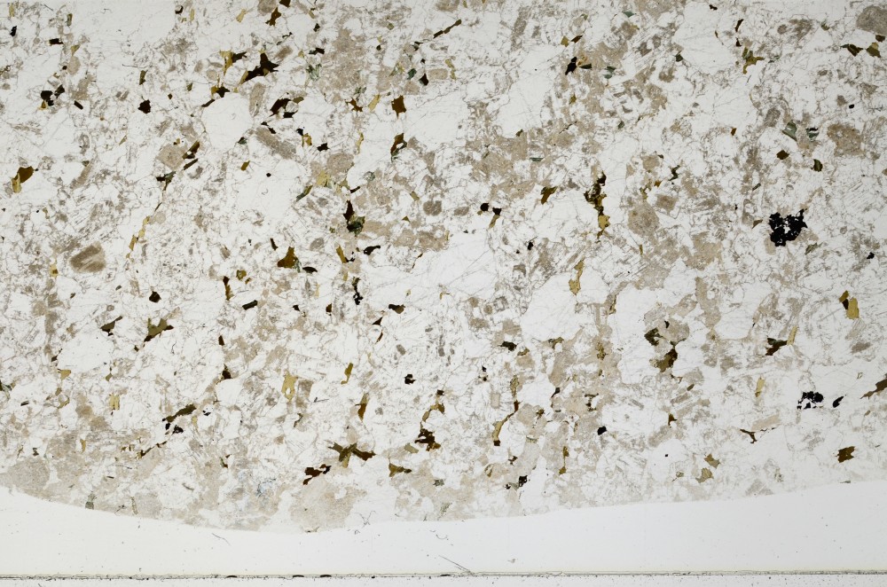 Plane Polarized, S66095