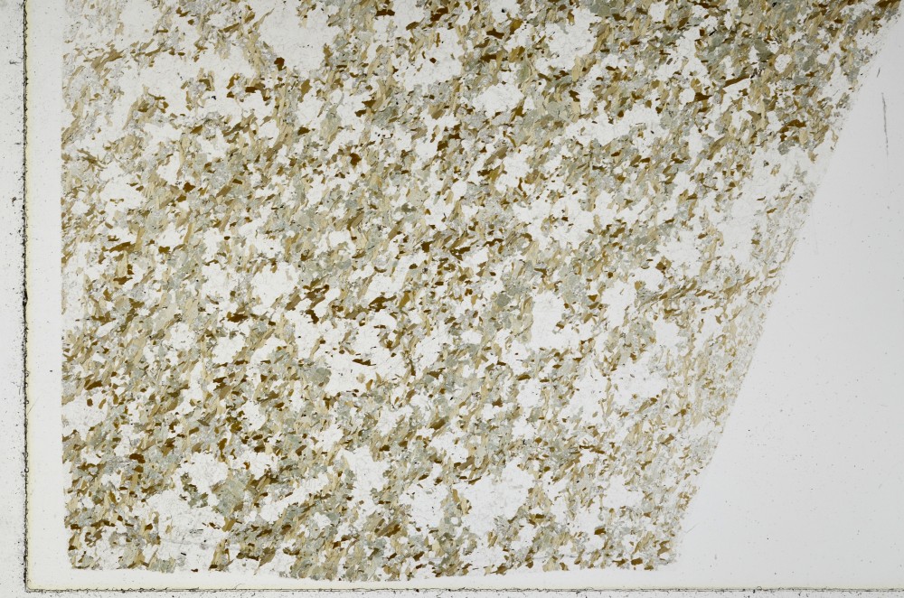 Plane Polarized, S66109