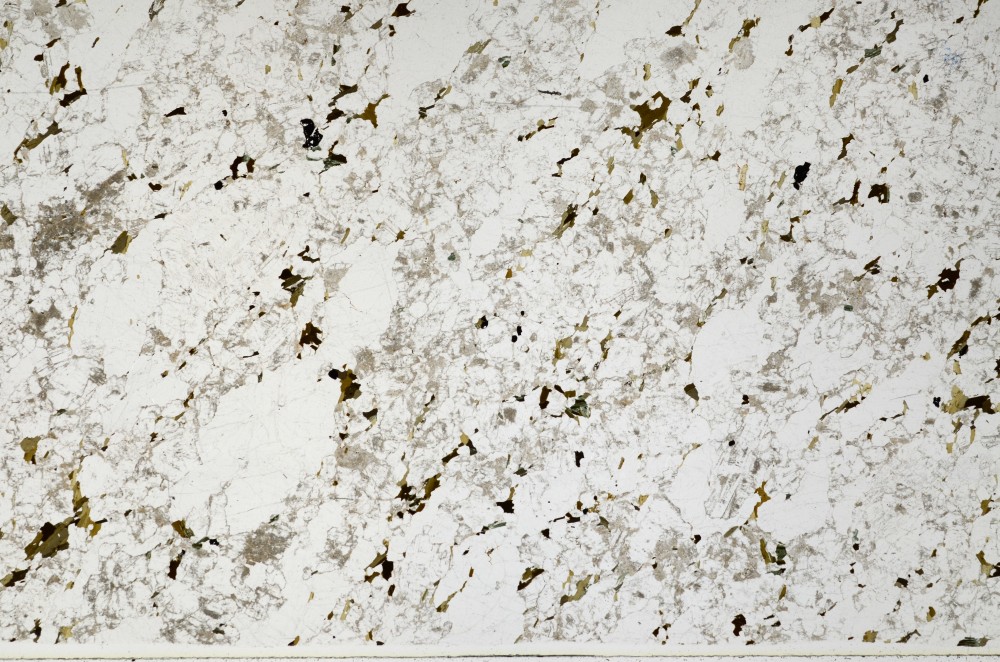 Plane Polarized, S66117