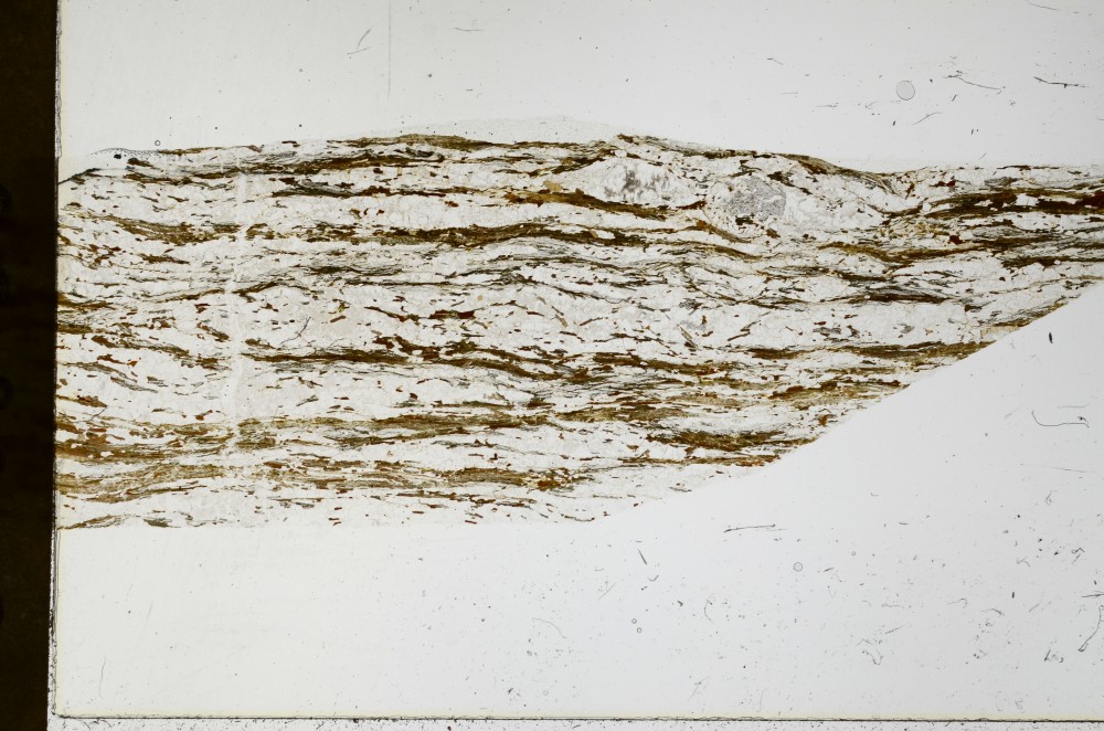 Plane Polarized, S66136
