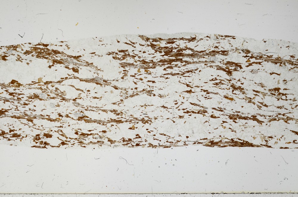 Plane Polarized, S66137