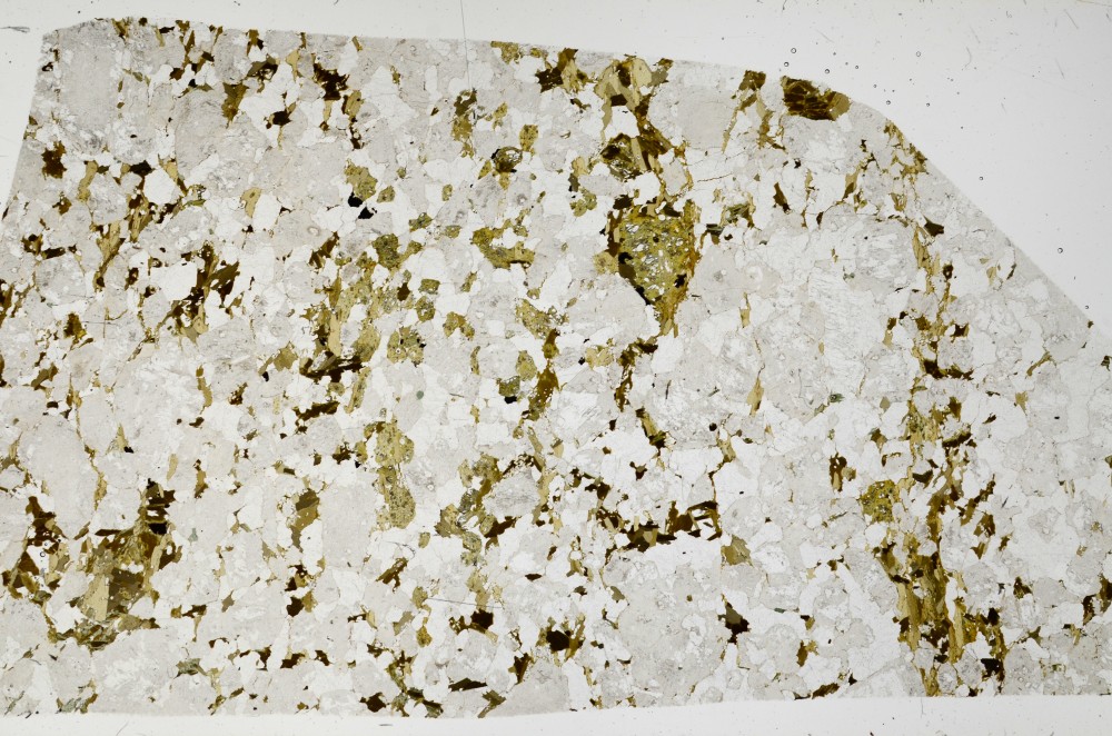 Plane Polarized, S66160