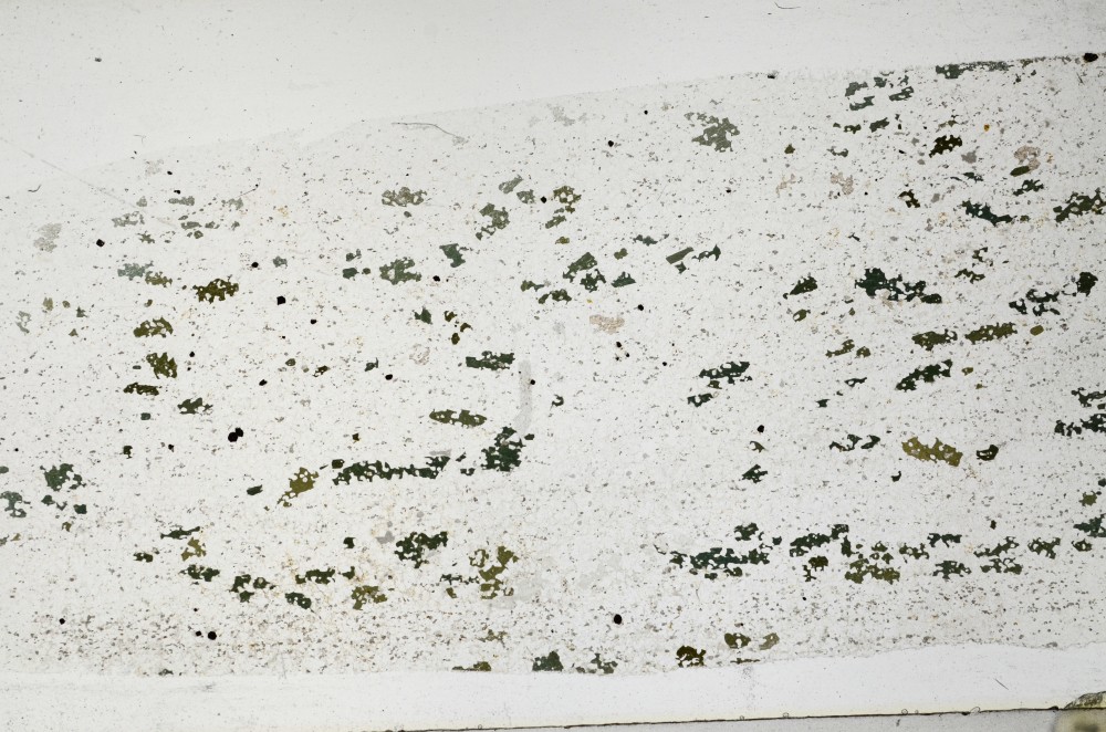 Plane Polarized, S67011