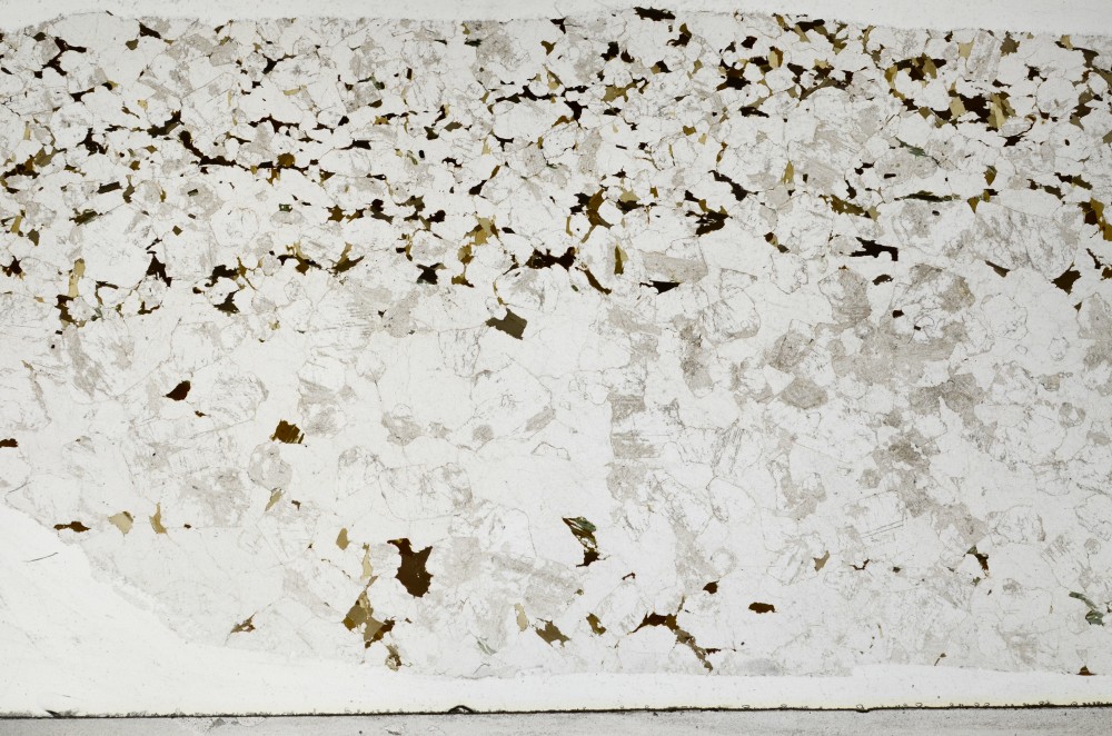 Plane Polarized, S67020