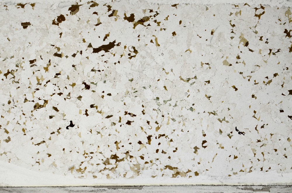Plane Polarized, S67028