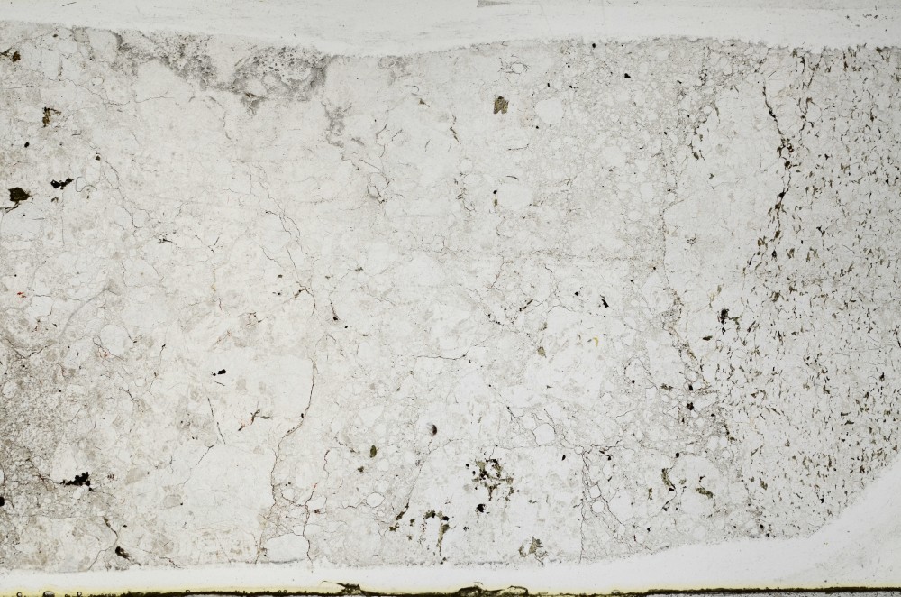 Plane Polarized, S67042