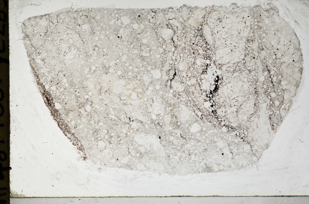 Plane Polarized, S67043