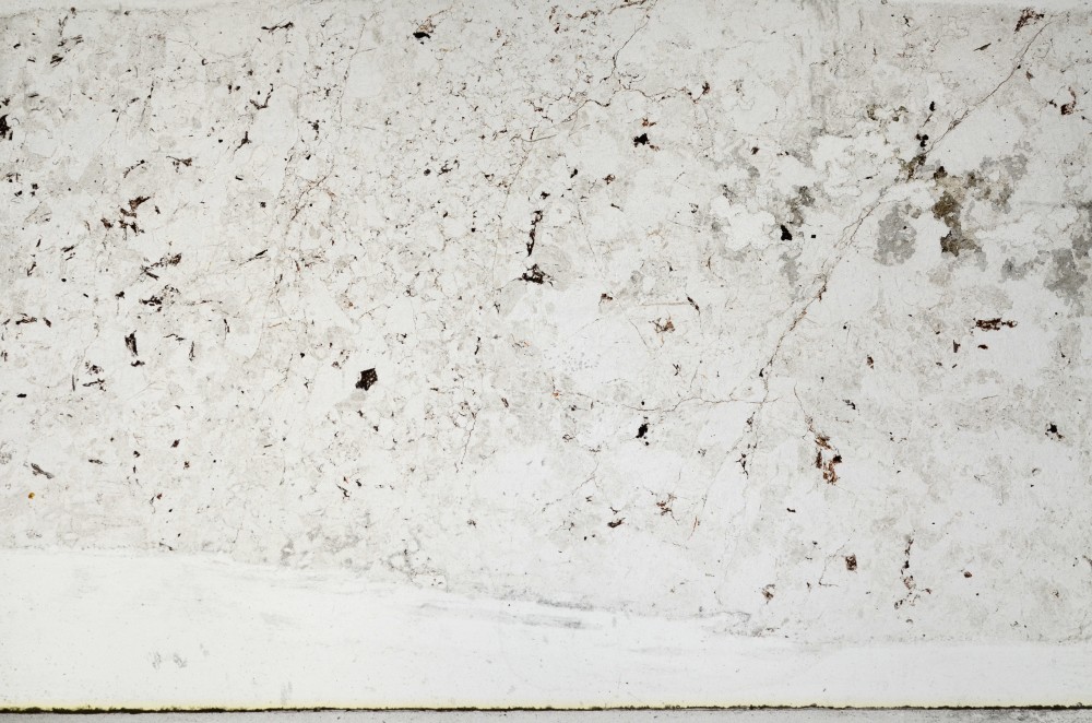 Plane Polarized, S67044