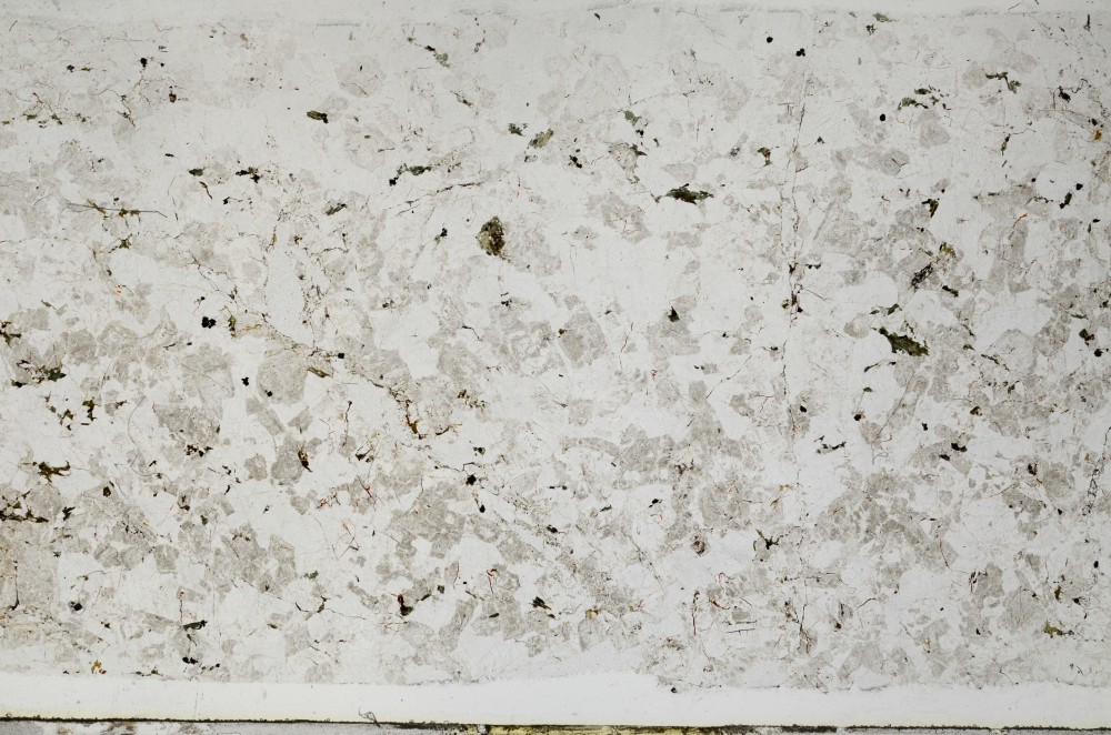 Plane Polarized, S67046