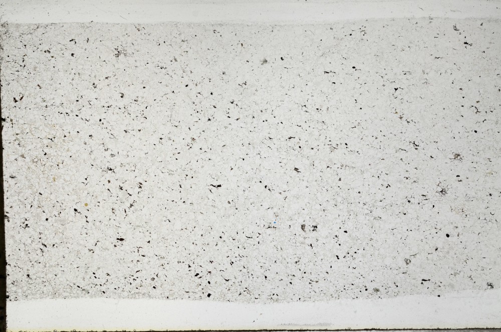 Plane Polarized, S67049