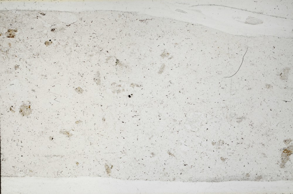 Plane Polarized, S67050