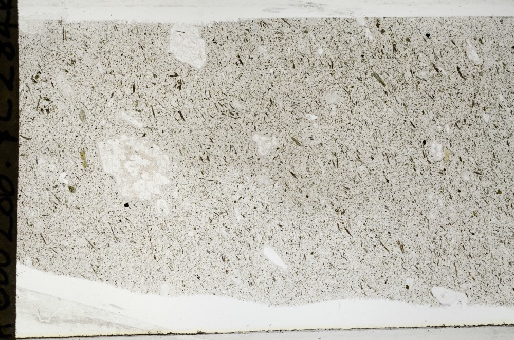 Plane Polarized, S67052