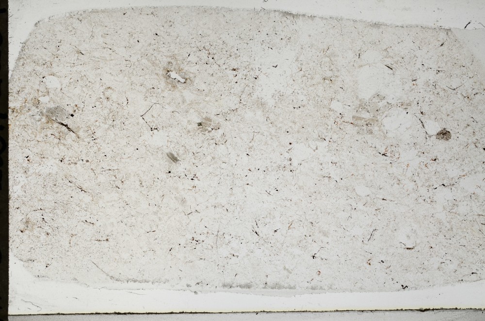 Plane Polarized, S67053