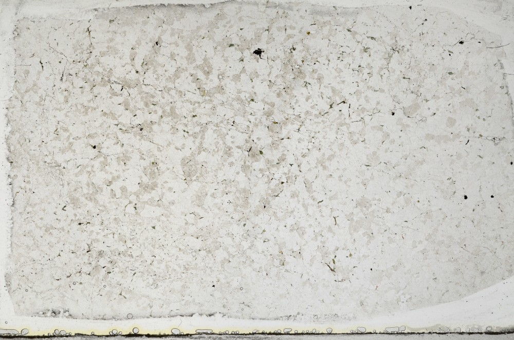 Plane Polarized, S67057
