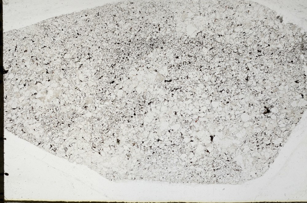 Plane Polarized, S67058