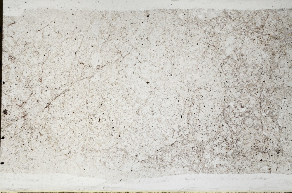 Plane Polarized, S67068