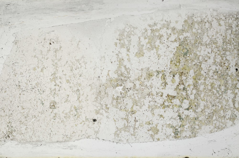 Plane Polarized, S67099