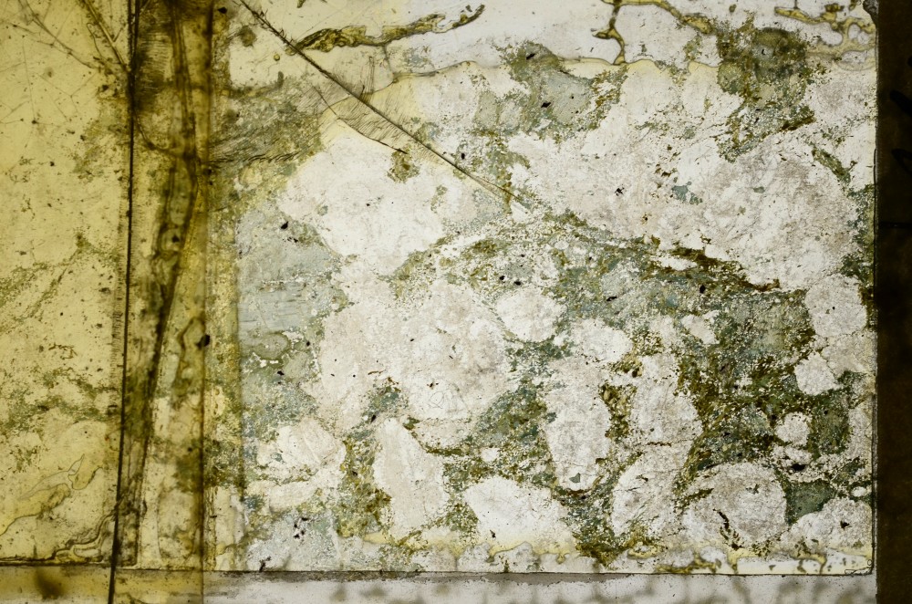 Plane Polarized, S67148