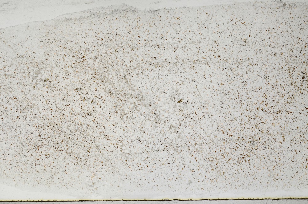 Plane Polarized, S67152