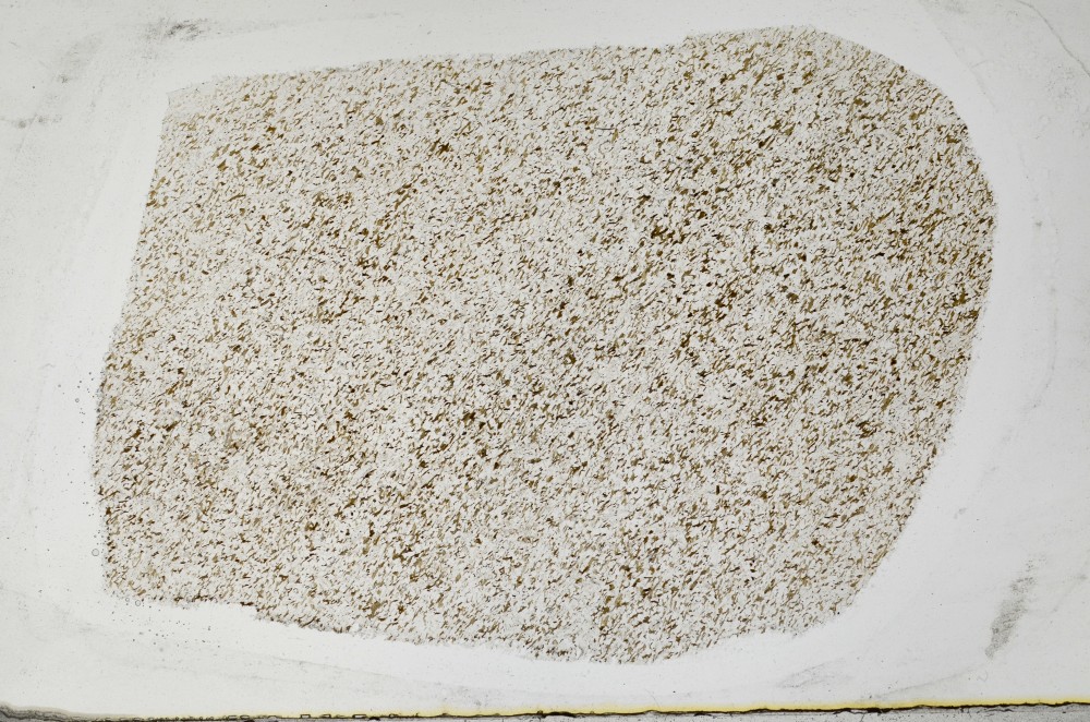 Plane Polarized, S67153