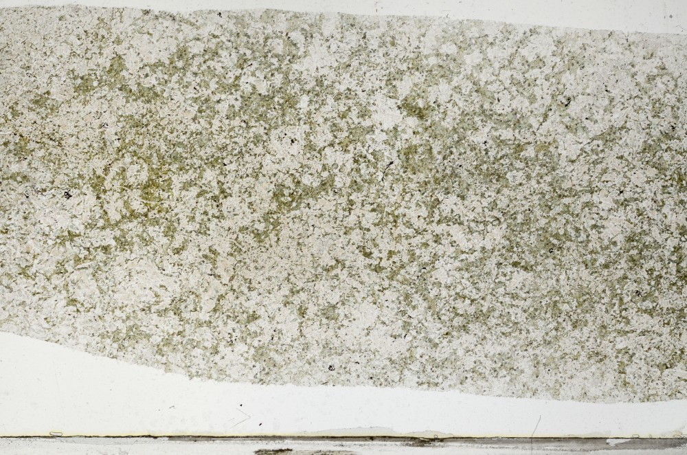 Plane Polarized, S67160