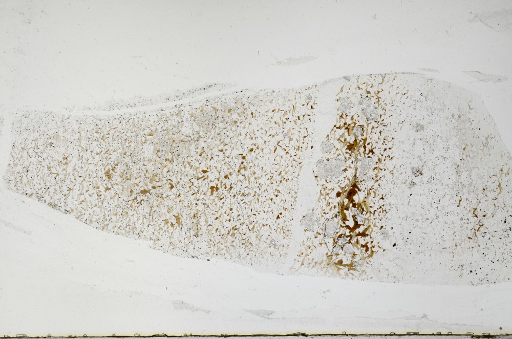 Plane Polarized, S67166