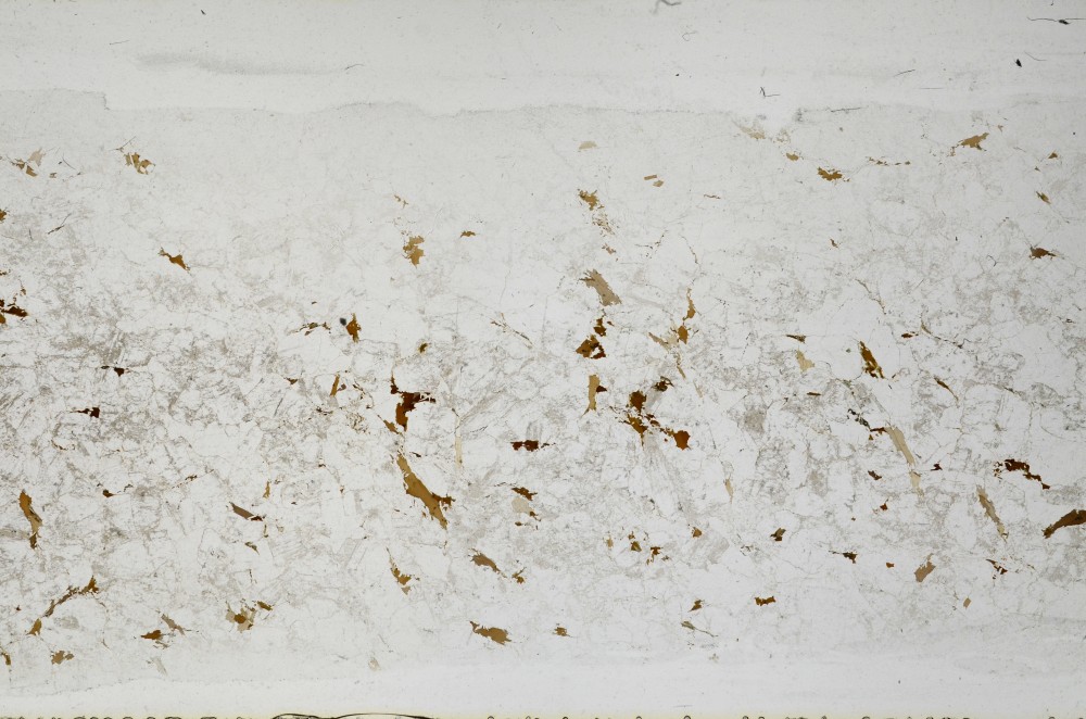 Plane Polarized, S67173