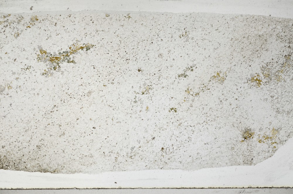 Plane Polarized, S67175