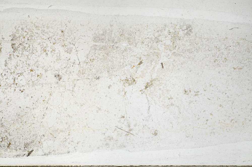 Plane Polarized, S67179