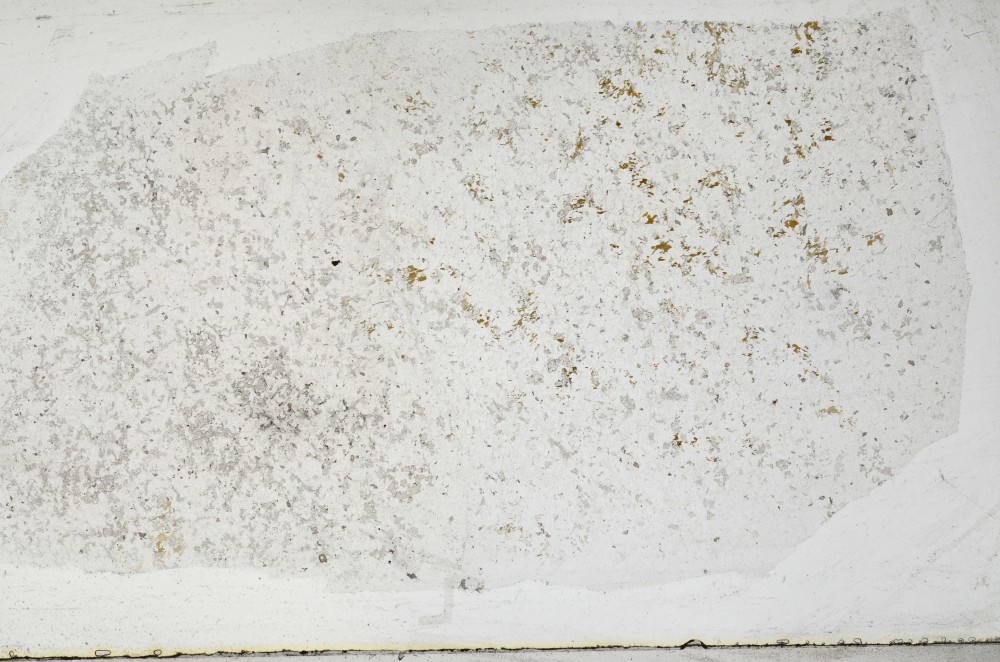 Plane Polarized, S67186