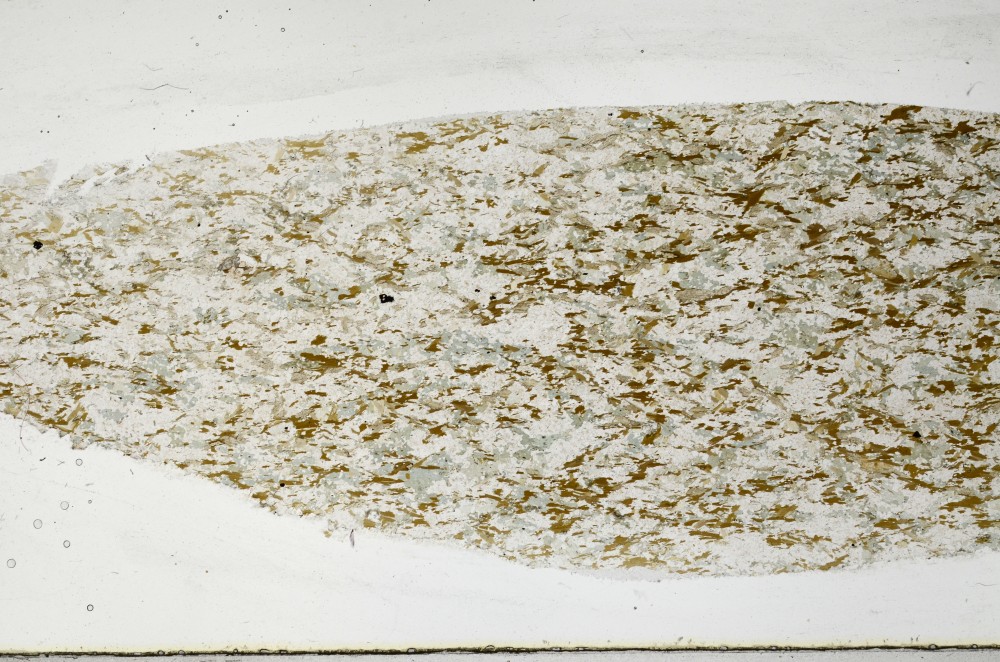 Plane Polarized, S67189