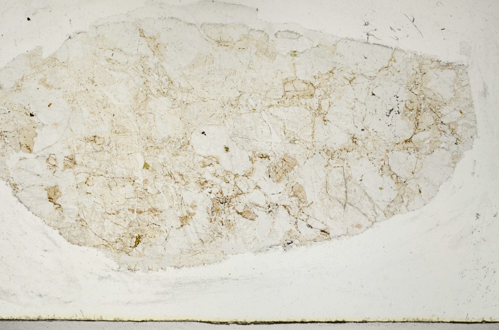 Plane Polarized, S67203