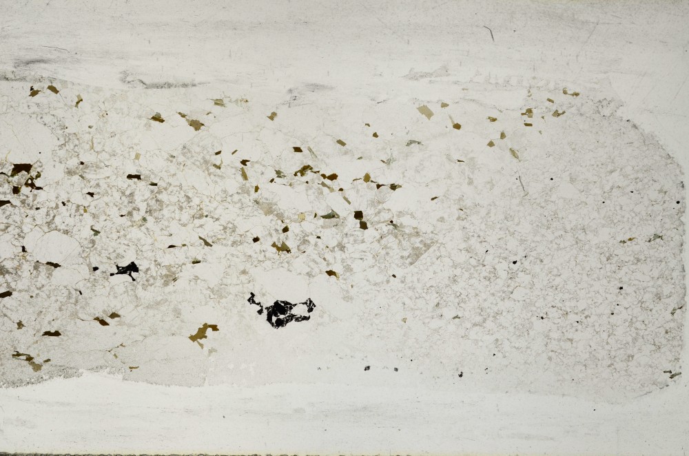 Plane Polarized, S67208
