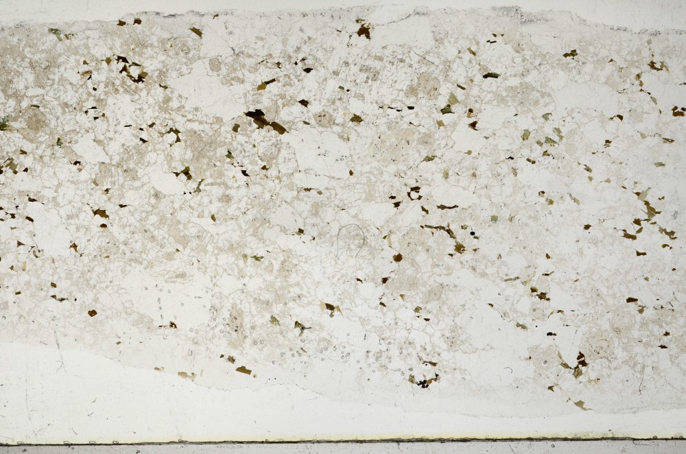 Plane Polarized, S67216