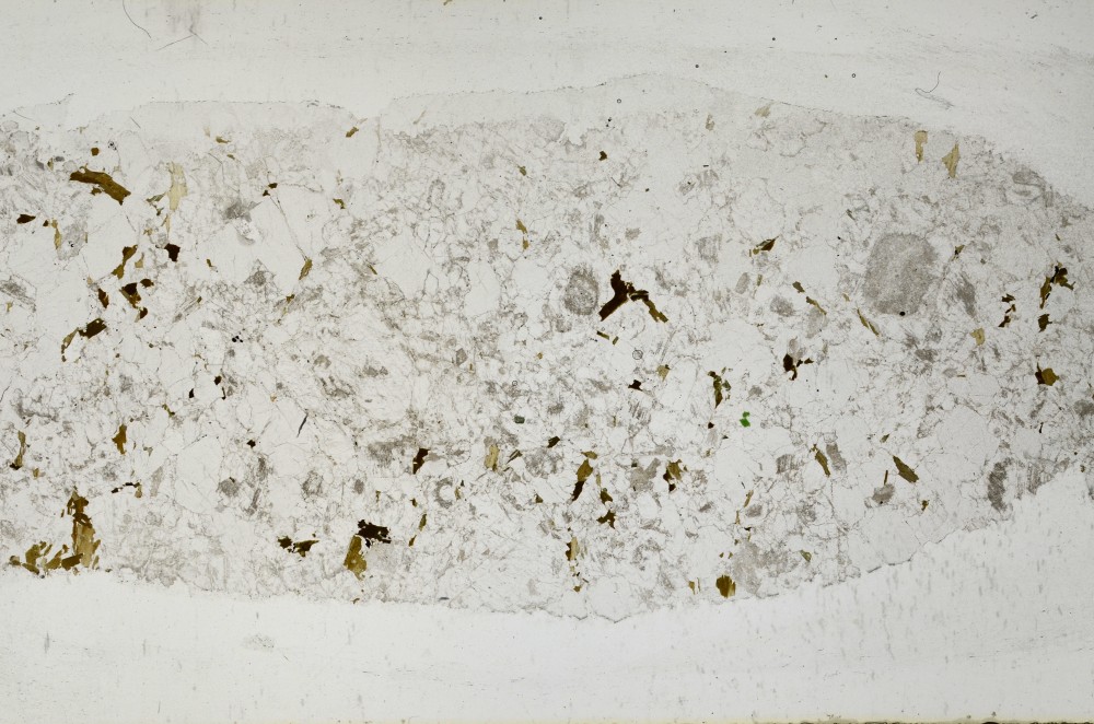 Plane Polarized, S67225