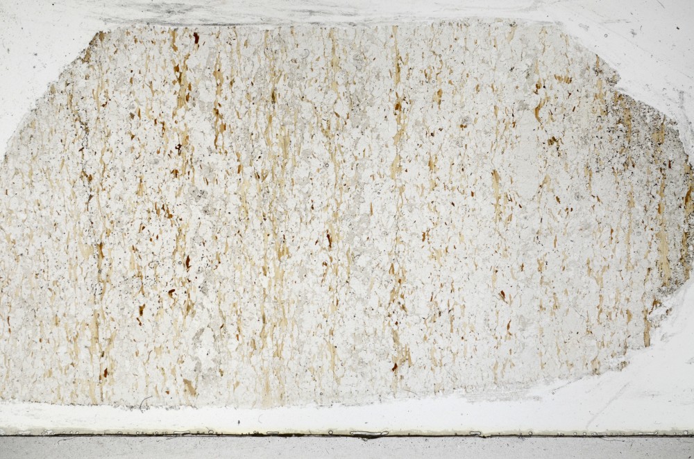 Plane Polarized, S67233