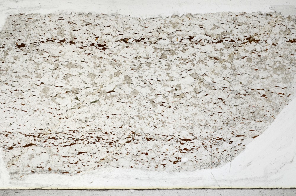 Plane Polarized, S67234