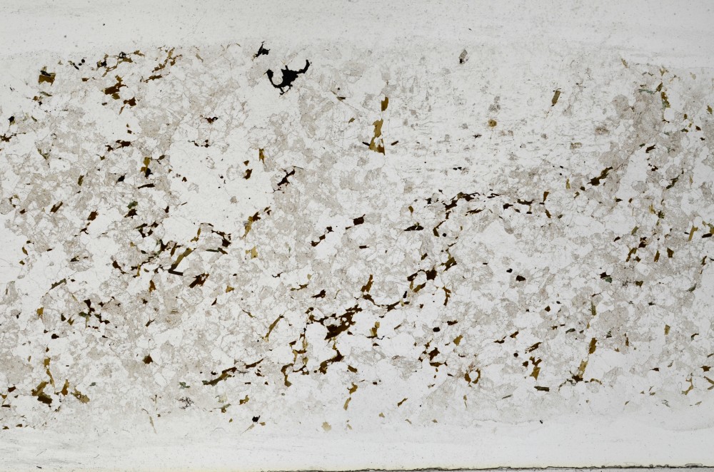 Plane Polarized, S67236