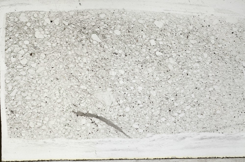 Plane Polarized, S67383