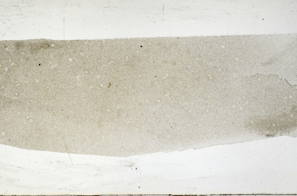 Plane Polarized, S67384