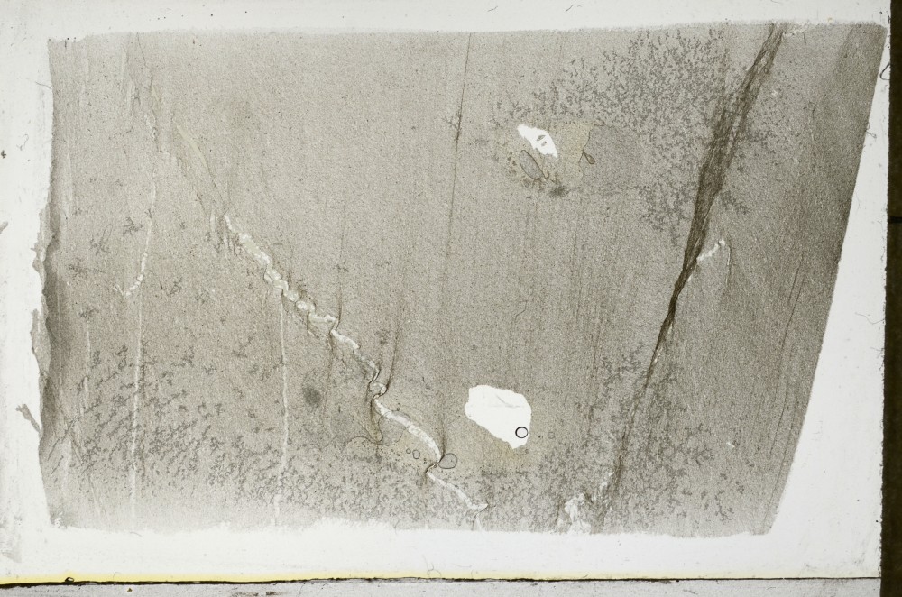 Plane Polarized, S67387