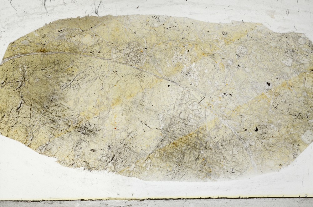 Plane Polarized, S67394