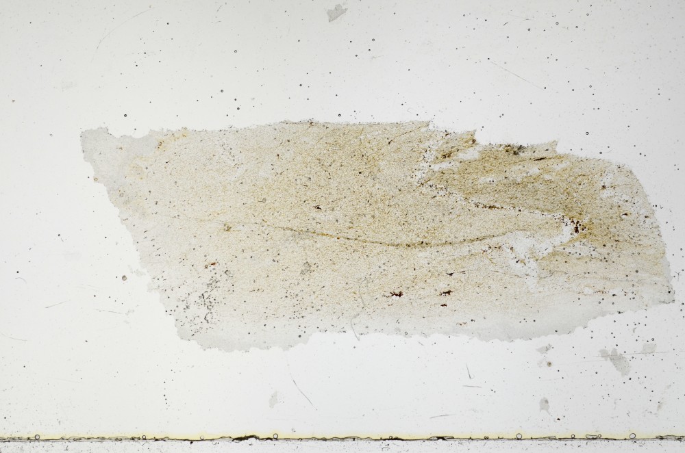 Plane Polarized, S67402