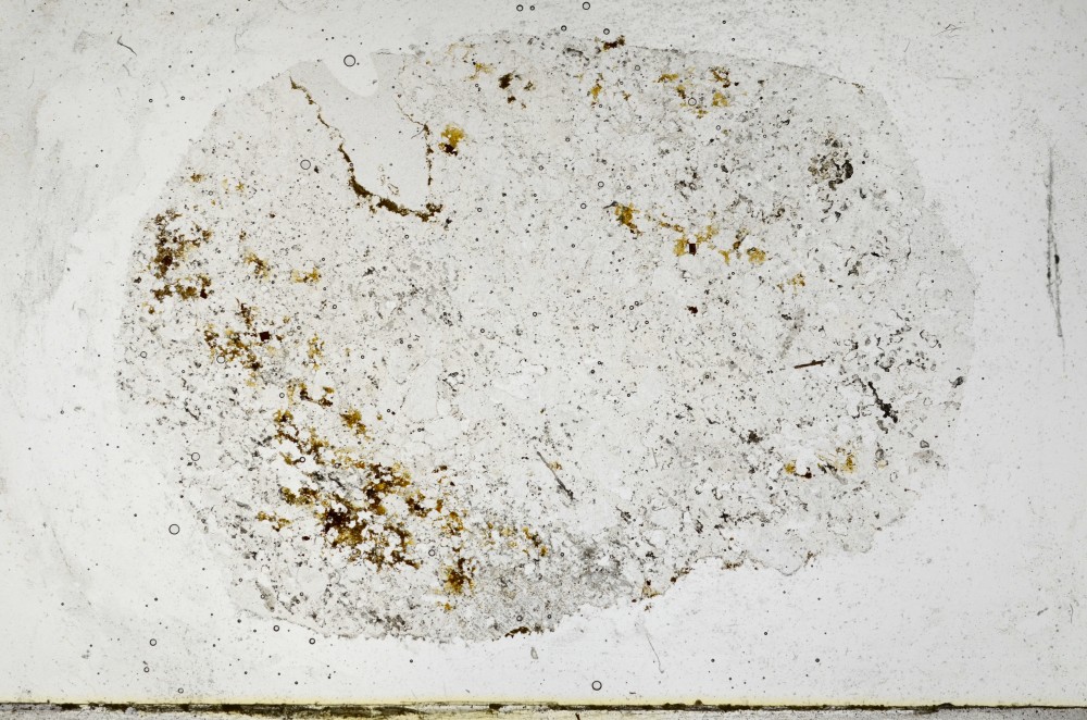 Plane Polarized, S67412
