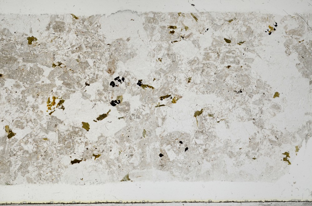 Plane Polarized, S67476