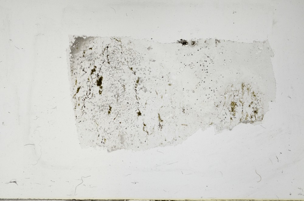 Plane Polarized, S67477/A