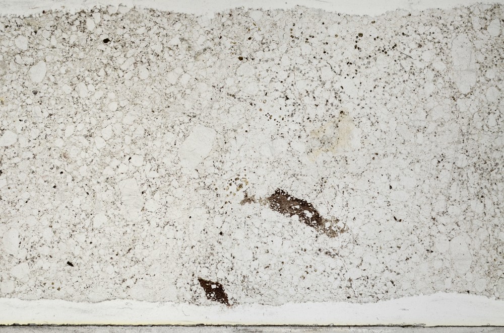 Plane Polarized, S67482